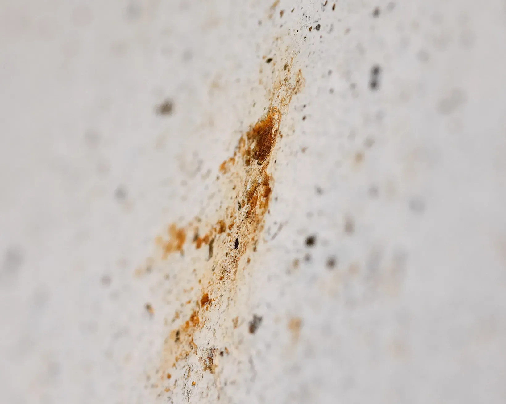 39 247 les villes 06 08 23 visciani ph