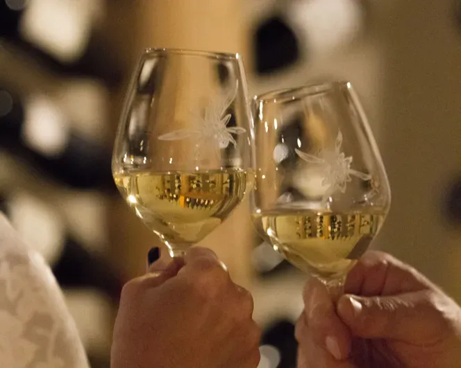 Aperitivo at the Farm Sompunt